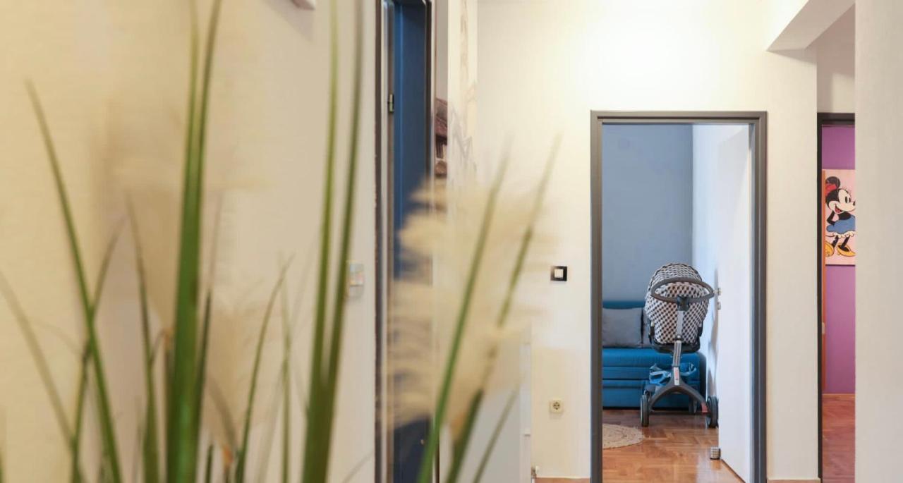 זאדאר Apartman Nika Sa Jacuzzijem מראה חיצוני תמונה